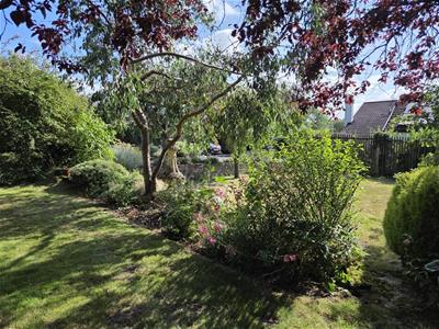 Picture 21